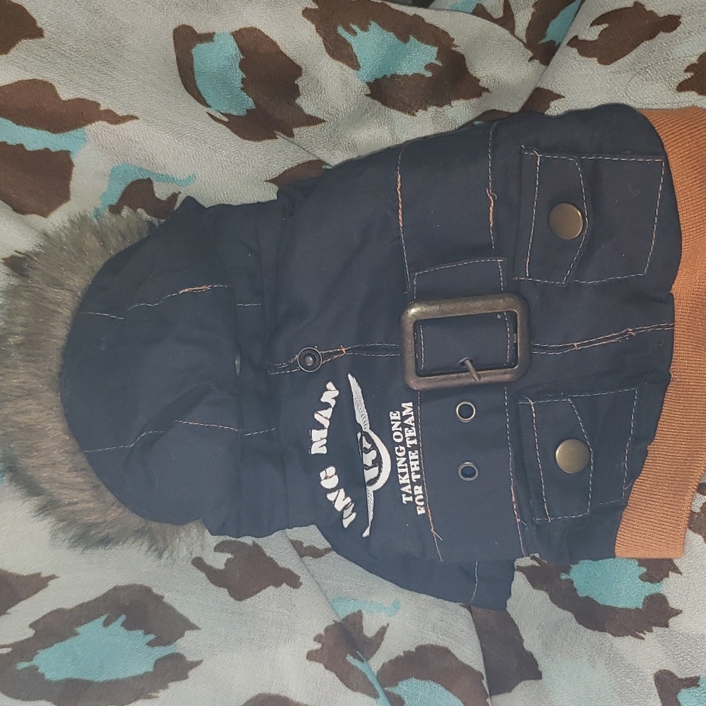 Dog coat - Picture 4 of 16